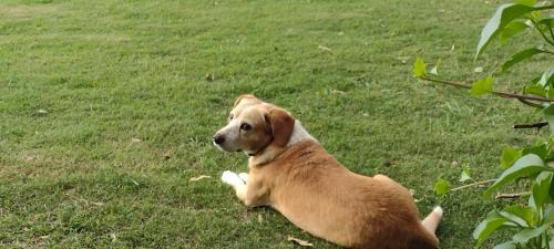 San Miguel del Monte Haus | Casa Quinta San Miguel del Monte