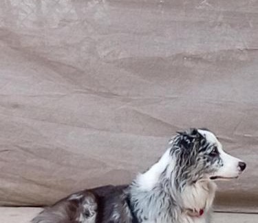 Chula Vista Haus | Casa refugio