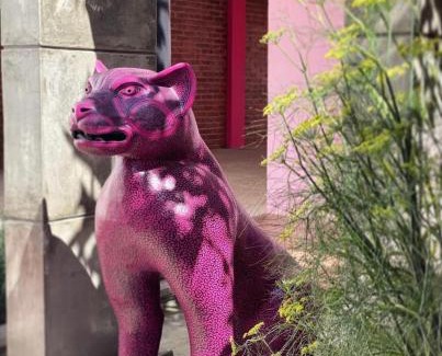 De Mexicanos Hotel | Casa Rosa Hotel & Spa