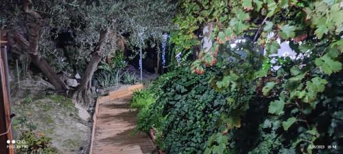 Alcaudete Haus | Casa Rural CUARTELILLOS