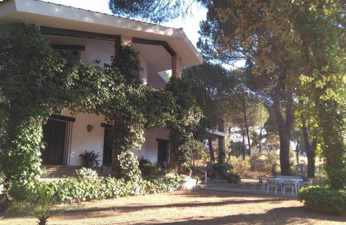Andujar Hütte | Casa Rural Viña Arroyo del Galloo