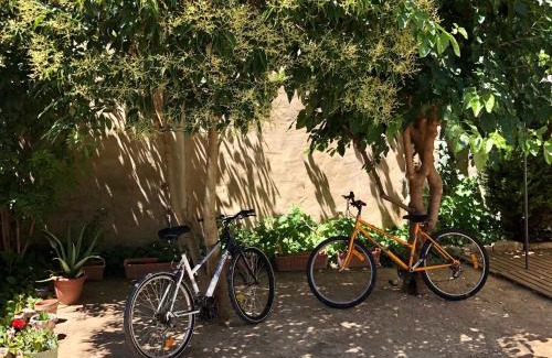 Lupinen-Ortilla Haus | Casa Solariega