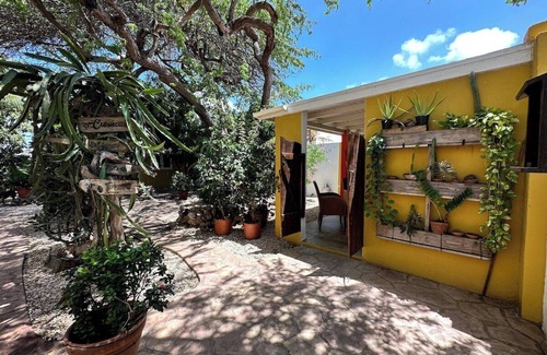 Savaneta Hütte | Casa Tropical Cottage w/ Pool
