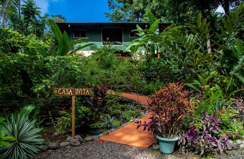 Ballena Haus | Casa Uvita: Regenwald & Meerblick, Eco-Home