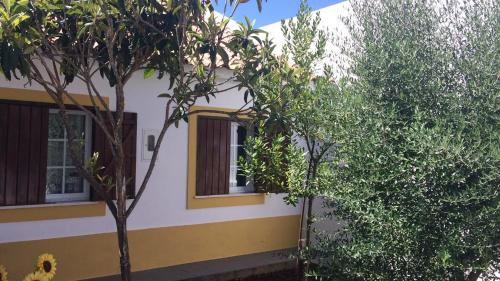 Cabecao Haus | Casa Zé Actor
