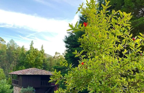 Sopo Hütte | CASAS DE CAMPO