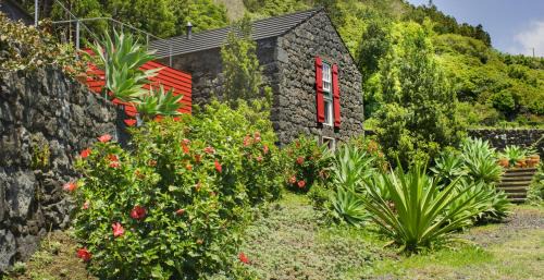 Pontas Negras Haus | Casas de Incensos - TER -TA