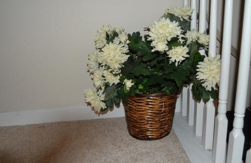 Southwestern Haus | Cascade Comfort