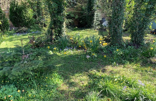 Isle of Purbeck Hütte | Castle View Annex