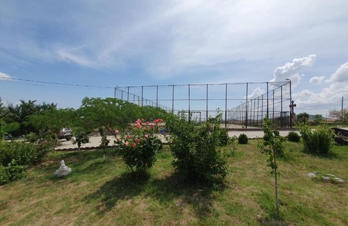 Nufaru Haus | CASUTE IN DELTA TRIPI TRIP