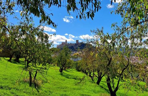 Alcala la Real Haus | Cauchil Chico