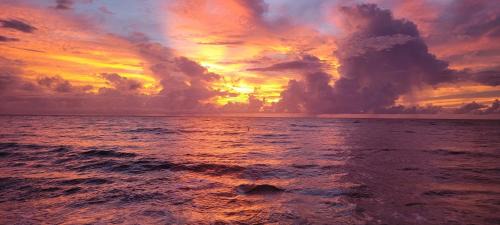 Seven Mile Beach Wohnung | Cayman Reef Resort 7-Mile Beach