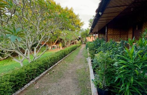 Siquijor Haus | Cecilia's Garden Guesthouse