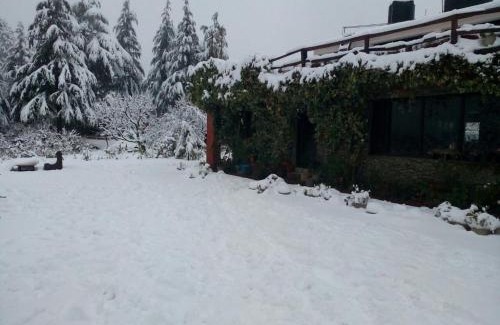 Ramgarh Kabine | Cedar Lodge By Aahma