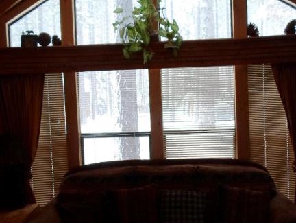 Tahoe Valley Resort | Cedar Pines Resort