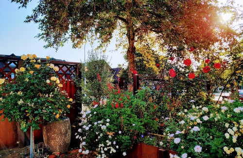 Palmerston North Haus | Central cosy Villa, 2 mins walk to town