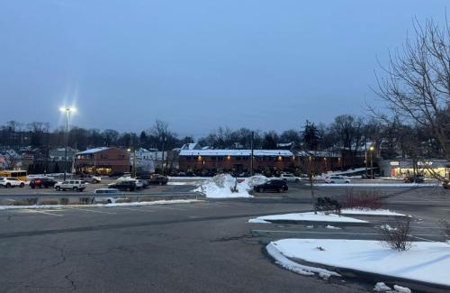 White Plains Hotel | Central Motel Courtyard