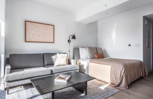 Central Square Wohnung | Central Sq Studio w Gym Doorman WD Roof BOS-313