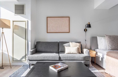 Central Square Wohnung | Central Sq Studio w Gym Doorman WD Roof BOS-313