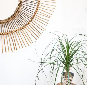 Barra Wohnung | Cestaria Costa Nova