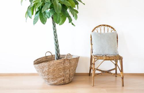 Barra Wohnung | Cestaria Costa Nova