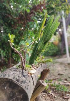 Tres Marias Haus | Chácara Aconchego