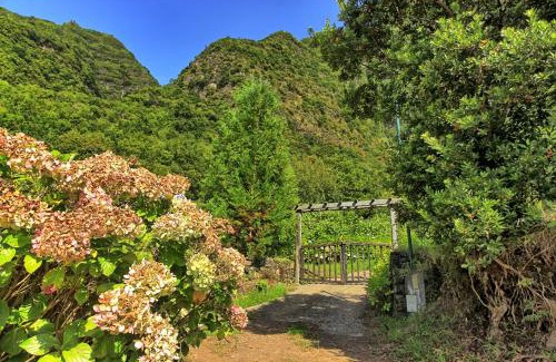 Sao Vicente Skihütte | Chale Jardim De Cima