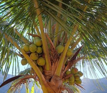 Santana do Riacho Kabine | Chale3 Rabodegalo