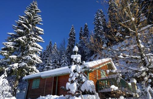 Premanon Skihütte | Chalet Daria