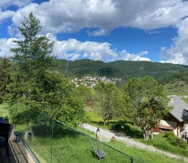 Beuil Skihütte | CHALET LUANE près de VALBERG