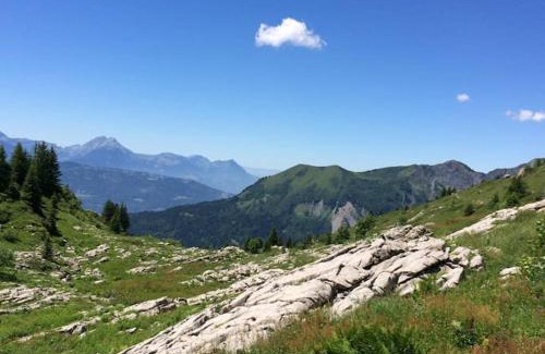 Morillon Skihütte | Chalet Pomet