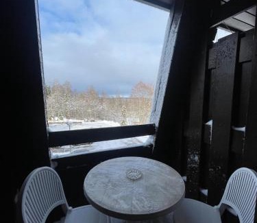 Premanon Wohnung | Chaleureux studio montagnard avec balcon 2402