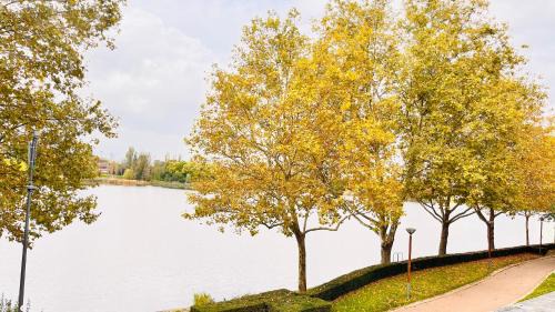 Ormetteau-Port Wohnung | Charmant et cosy appartement à Créteil lac