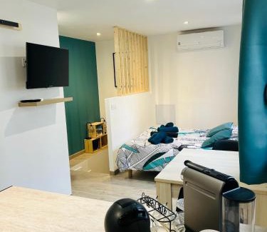 Ceret Wohnung | Charmant studio en centre-ville