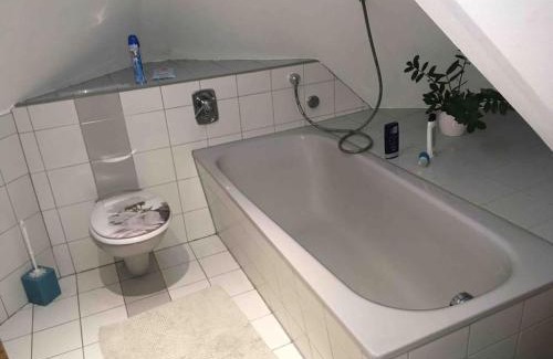 Ludwigsburg Wohnung | Charmantes Dachloft mit spektakulärer Aussicht