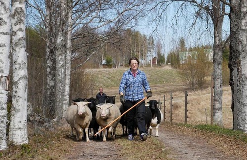 Kopparnas Haus | Charmig stuga på bondgård