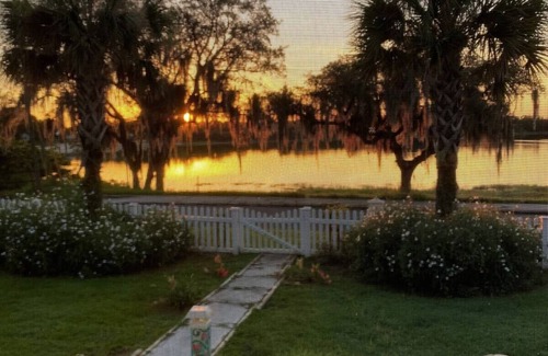 Florida South Atlantic Coast Hütte | Charming 1935 Florida Cottage overlooking Lake Tulane