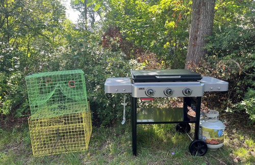 Mount Holly Hütte | Charming 2-bedroom waterfront cottage in Montross