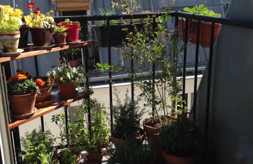 Quartier de la Goutte-d'Or Wohnung | Charming 2 rooms in Montmartre