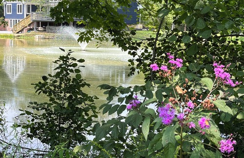 Moreland Hills Haus | Charming 3-bedroom house in wonderful Moreland Hills with a shared pond & trail