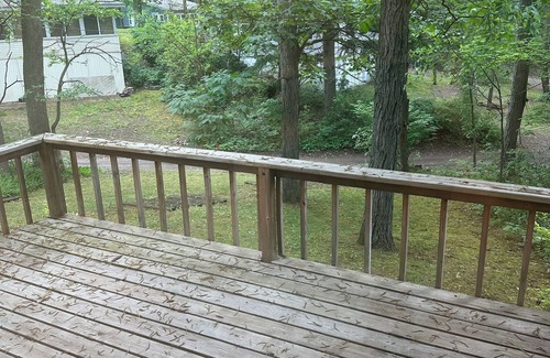 Brooklyn Hütte | Charming 3-bedroom cottage with WiFi and AC in welcoming Brooklyn