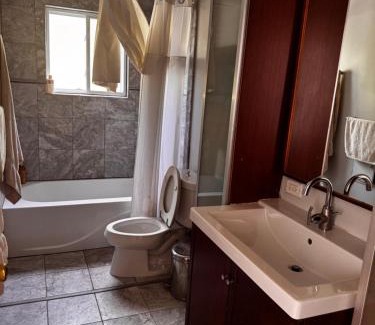 Ann Arbor Haus | Charming 3-bedroom house