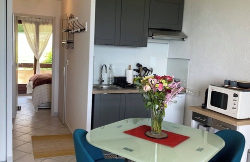 Evian-les-Bains Wohnung | Charming apartment with exceptional view