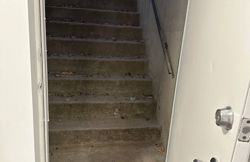 Annapolis Wohnung | Charming bedroom in Annapolis shared basement apartment