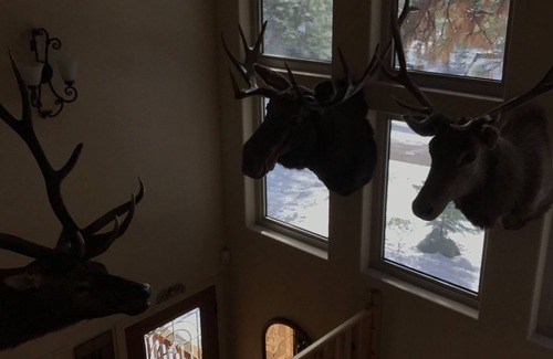 Brockway Kabine | Charmante Hütte in zentraler Lage in der Nähe von Schnellbootstrand und Skifahren