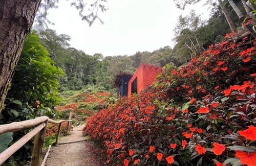 Bucaramanga Hütte | Charming cottage Montserrat in the mountains Fabulous Floridablanca with WiFi