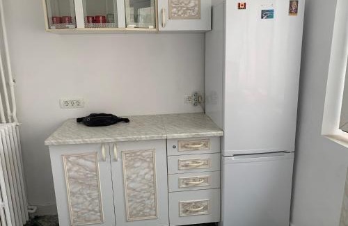 Gara de Nord Wohnung | Charming Flat with Winter Garden Blending Classical Elegance and Modern Comfort