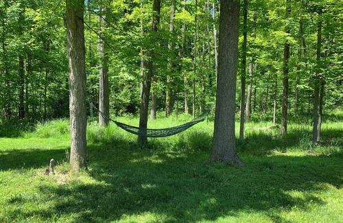 Hudson Haus | Charming Historical Hudson Retreat on almost 4 acres! Wildlife views daily!!