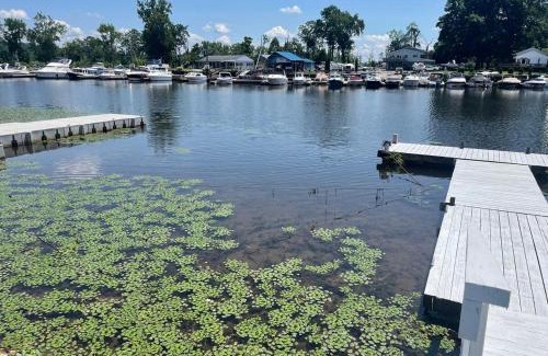 Saugerties South Haus | Charming Home on Esopus Creek