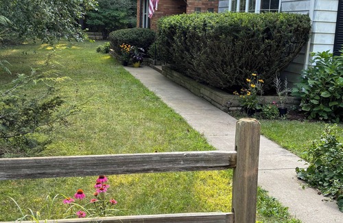 Harbert Haus | Corky's Place auf Harbert SONDERANGEBOT 6.-12. JULI $ 300 PRO NACHT !!!